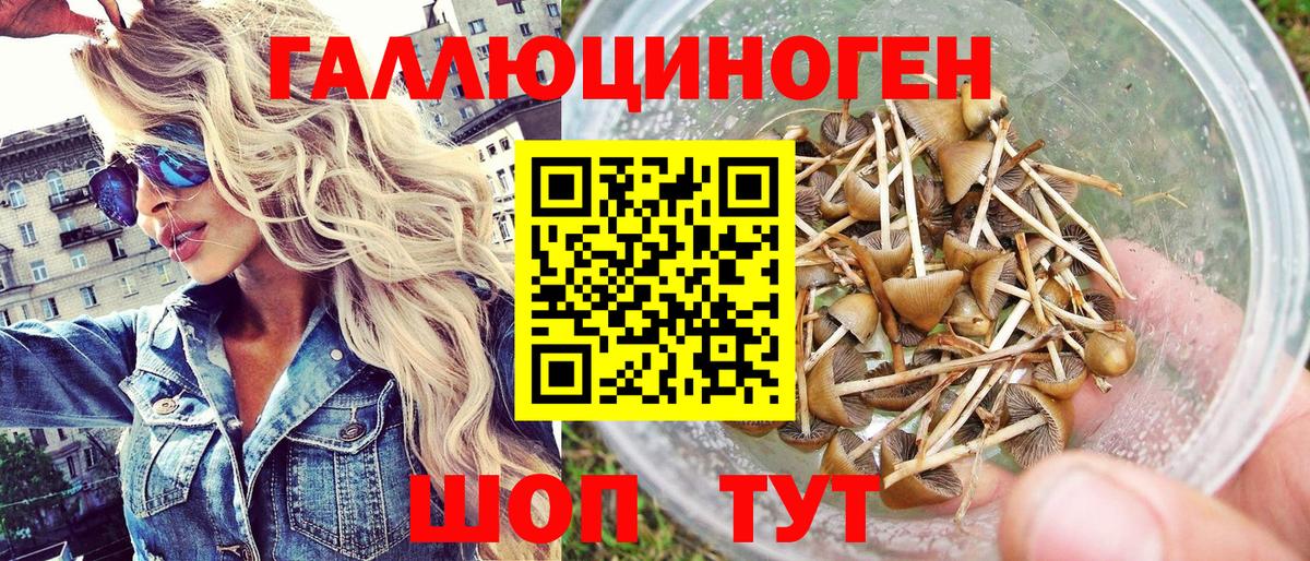 Псилоцибиновые грибы GOLDEN TEACHER  Псилоцибиновые грибы Magic Shrooms  Вход с VPN  Аргун 