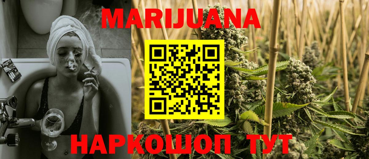 Канабис планчик Аргун